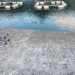 サビキで豆アジ