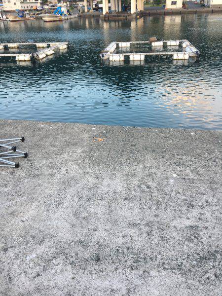 サビキで豆アジ