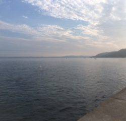 ショアジギング