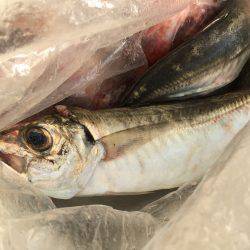 オフショアゲーム