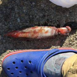 ちょっと寄り道ケンサキ