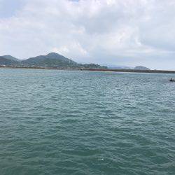 三たび目井津港で豆アジ