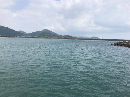 三たび目井津港で豆アジ