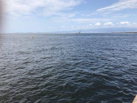 アジ、サバ、イワシ