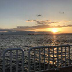 アジ102匹 サバ3匹