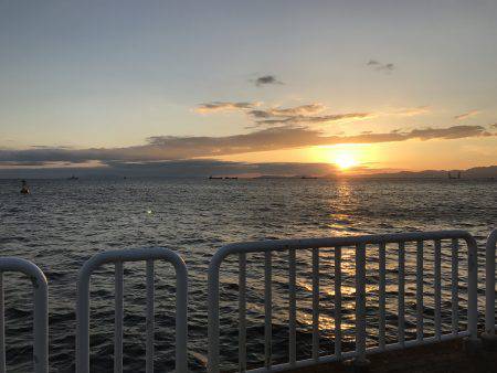 アジ102匹 サバ3匹