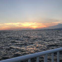 アジ53匹、サバ3匹、イワシ3匹