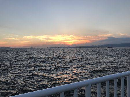 アジ53匹、サバ3匹、イワシ3匹