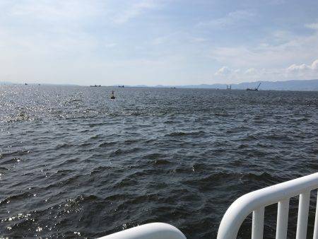 アジ22匹、サバ3匹、イワシ1匹、サヨリ1匹