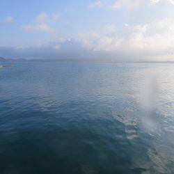 恐るべし自衛隊堤防