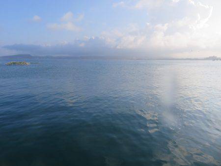 恐るべし自衛隊堤防