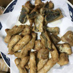 ポーアイ沖でぎりハマチ