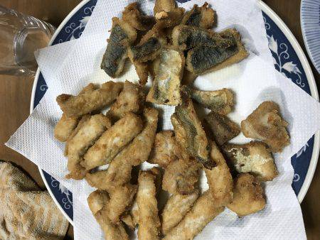 ポーアイ沖でぎりハマチ