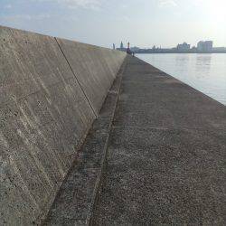 タコって地合があるの？