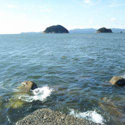 阿南市の淡島突堤でツバスとシオ