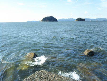 阿南市の淡島突堤でツバスとシオ