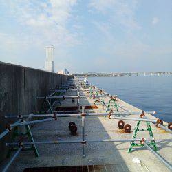 とにかく暑かった❗