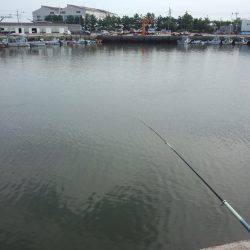 もう少しで五目釣り