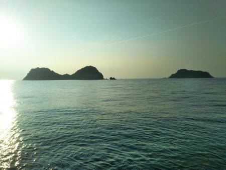 阿南市の辰巳でタチウオ