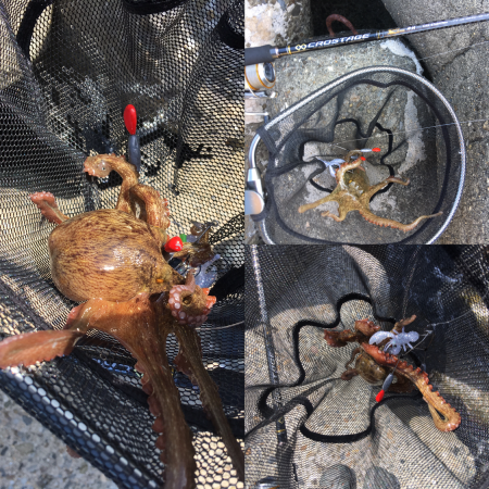 デイオクトパッシング