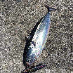 一文字でショアジギング