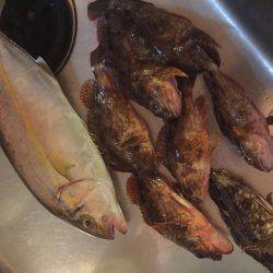 地磯チャレンジ