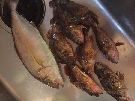 地磯チャレンジ