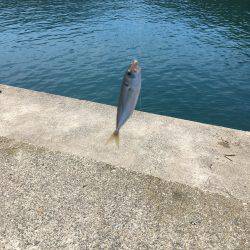 釣り始め遅すぎたw