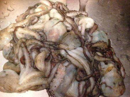 タコ釣り終盤10