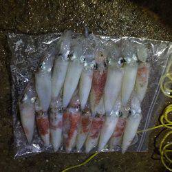 ケンサキイカ 大爆釣