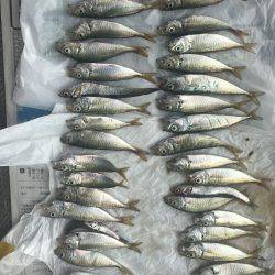 連敗ストップへ