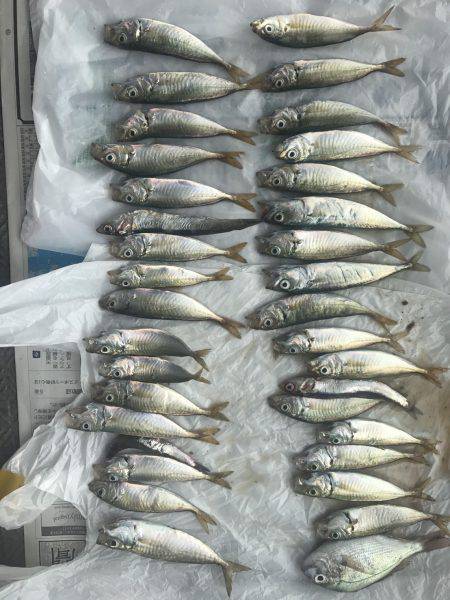 連敗ストップへ