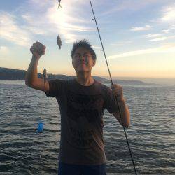 青物最高！【その他も】