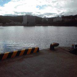 豆アジ34匹、チャリコ5匹、コノシロ2匹