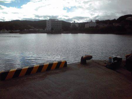 豆アジ34匹、チャリコ5匹、コノシロ2匹