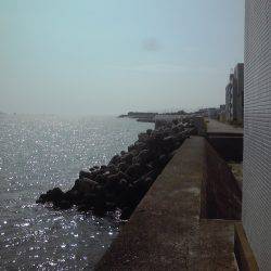 水潮で豆アジ0、ボラ２匹等