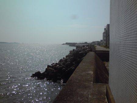 水潮で豆アジ0、ボラ２匹等