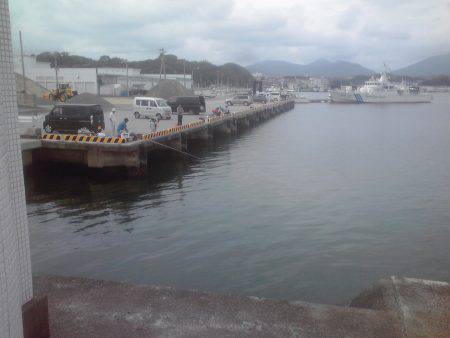 グレ3枚、アイゴ2枚、豆アジ14匹