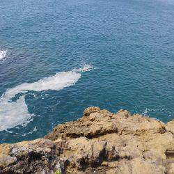 磯は無理でした