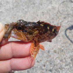 ファミリーフィッシング！