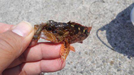 ファミリーフィッシング！