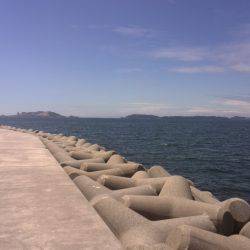 子供とキス釣り