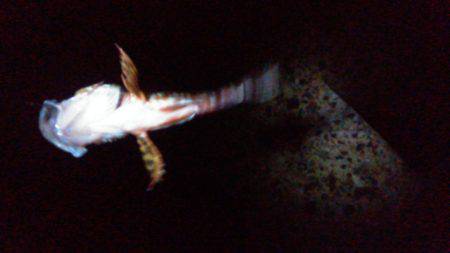 リベンジ…ならず