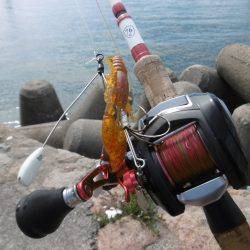 久しぶりの遠征！