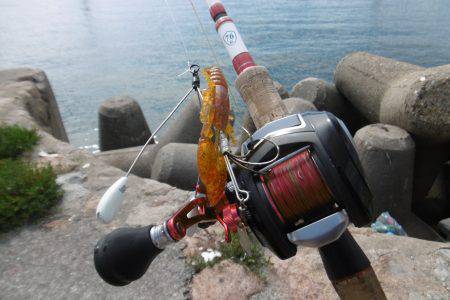 久しぶりの遠征！