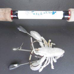 スナダコ多いです！