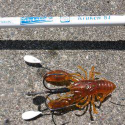 ストラクチャー狙い