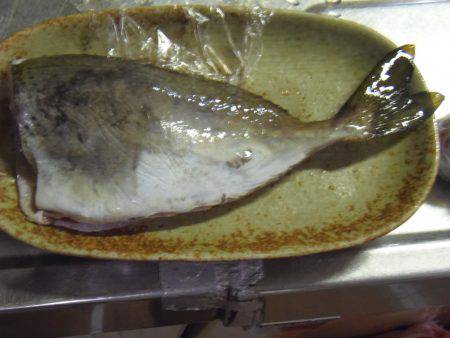 グレ、アイゴ、豆アジ他