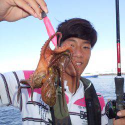 飽きもせず、またまたまたまた4週連続沖堤防♪