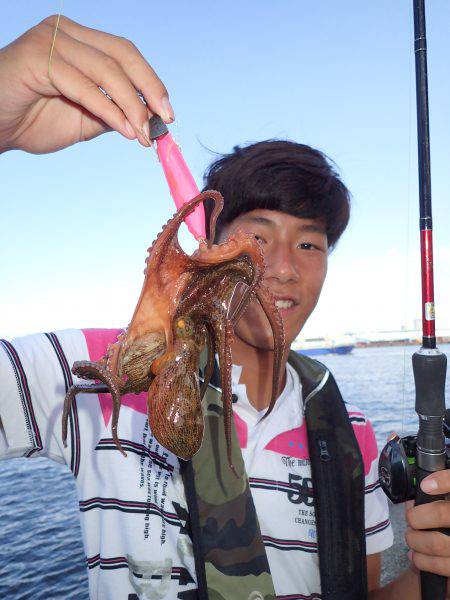 飽きもせず、またまたまたまた4週連続沖堤防♪